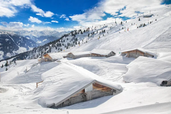 Bomen, vallende verse sneeuw in de Alpen — Stockfoto
