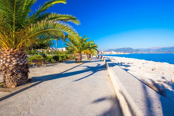 Paesaggio urbano costiero con palme — Foto Stock