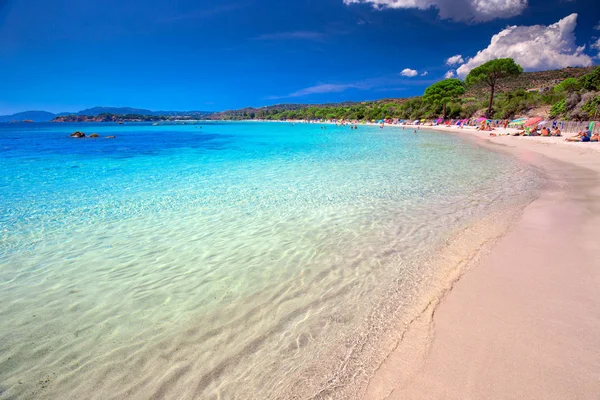 Strand van Palombaggia zandstrand — Stockfoto