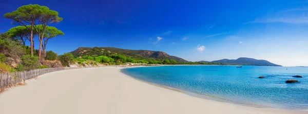 Palombaggia piaszczystej plaży — Zdjęcie stockowe