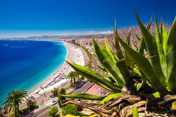 Passeio de praia no centro da cidade de Nice — Fotografia de Stock