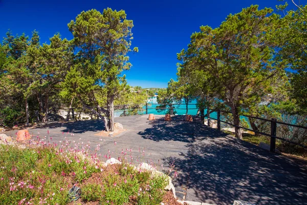 Coastline Promenade Pine Trees Tourquise Clear Water Porto Cervo Town — Stock Photo, Image