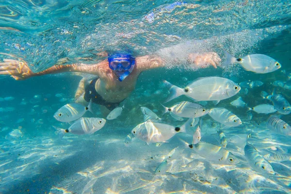 Homem snorkeling no recife de coral subaquático Imagens De Bancos De Imagens