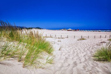 White sand dunes on Su Giudeu beach clipart