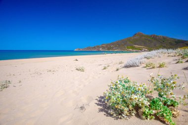 Spiaggia di San Nicolo ve Spiaggia di Portixeddu beach San Nicolo kasaba, Costa Verde, Sardunya, İtalya. Sardunya Akdeniz'de bir ada değildir.
