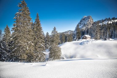 Beyaz ağaçlar Alps, kartpostal kış manzara için taze kar/EC.