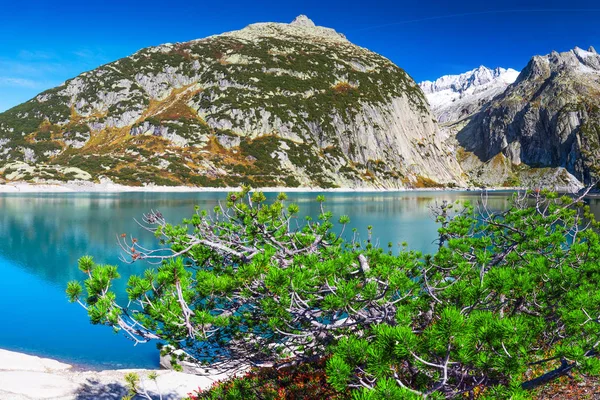 Gelmersee Grimselpass Den Schweizer Alpen Gelmersee Schweiz Berner Oberland Schweiz — Stockfoto