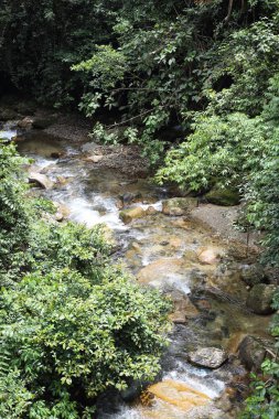 Sumatra Adası, Endonezya 'daki nehir akıntısı