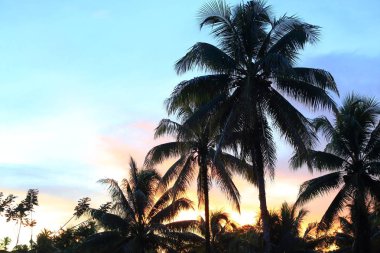 Güzel gün batımı, Manus, Papua Yeni Gine adasında