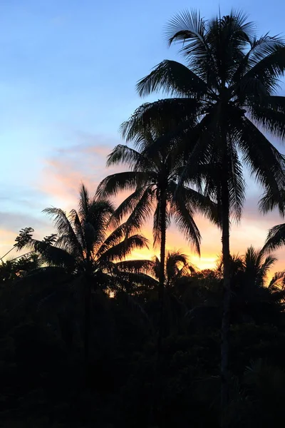 Beautiful sunset in Manus Island, Papua New Guinea — Stock Photo, Image