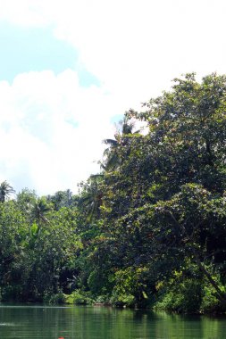 Güzel Manus Adası, Kuzey Papua Yeni Gine