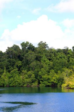 Güzel Manus Adası, Kuzey Papua Yeni Gine