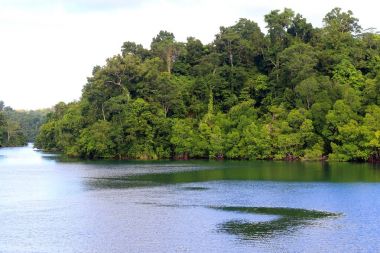 Güzel Manus Adası, Kuzey Papua Yeni Gine