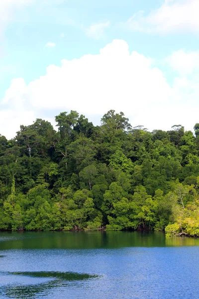 Güzel Manus Adası, Kuzey Papua Yeni Gine