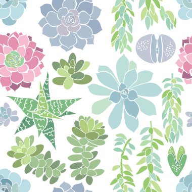Bir succulents ile Seamless Modeli 