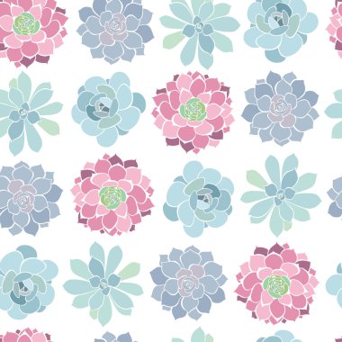 Succulents ile Seamless Modeli