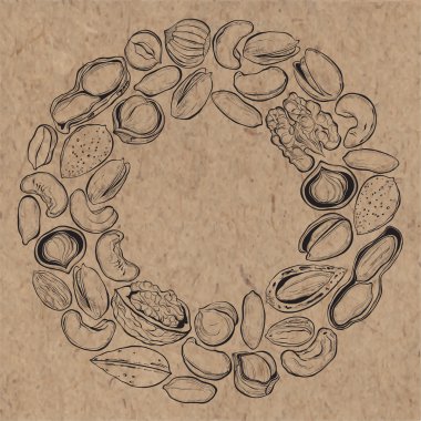 Arka plan kraft kağıt üzerinde fındık vektör. 