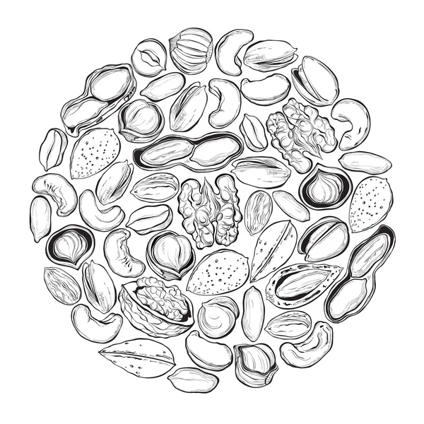 円のナット図. — ストックベクタ