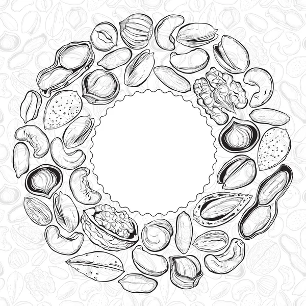 Illustration med hasselnötter, valnötter — Stock vektor