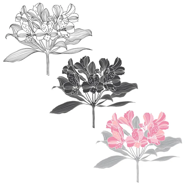 Alstromeria 花一套 — 图库矢量图片