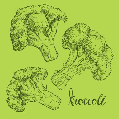 Brokoli kroki çizim