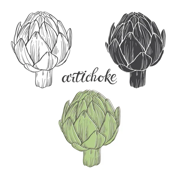 Artichoke sketch  illustration — Stock Vector