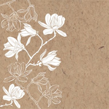 Branches with magnolia flowers  clipart