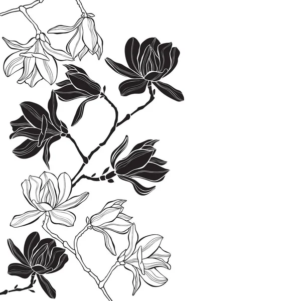 Rami con fiori di magnolia — Vettoriale Stock