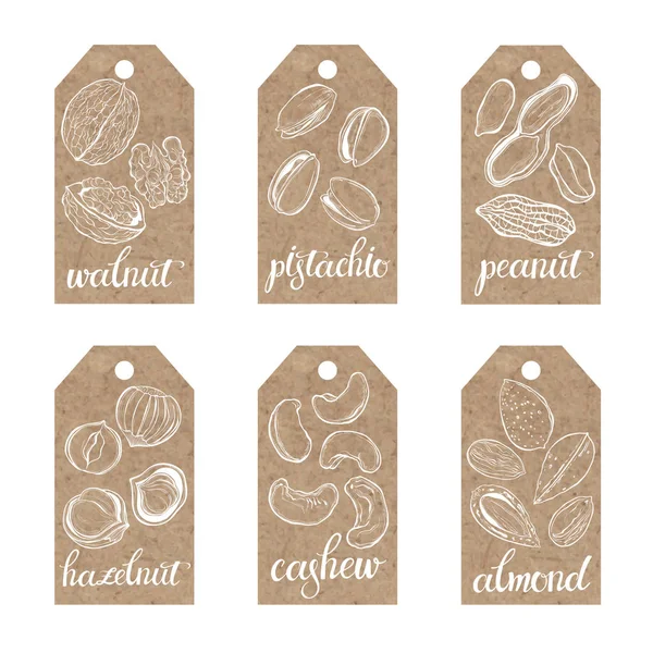 Verzameling kraft papier tags met noten. — Stockvector