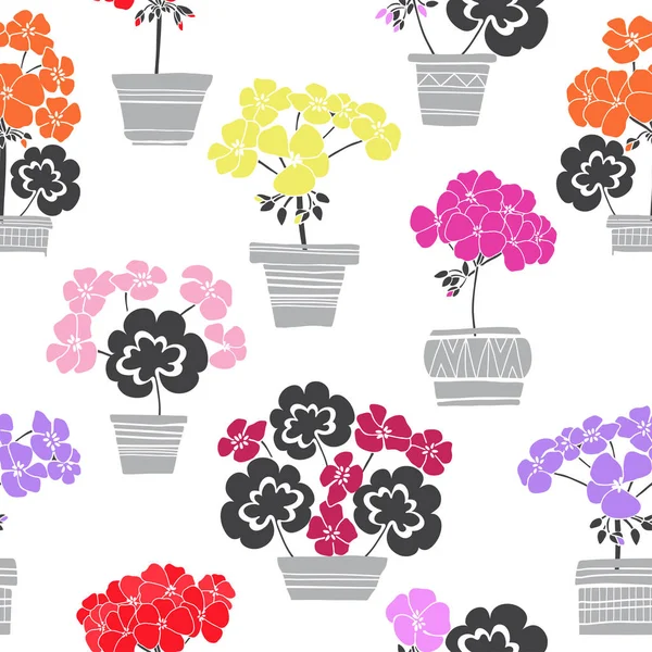 Gerânios coloridos florescendo em vasos — Vetor de Stock