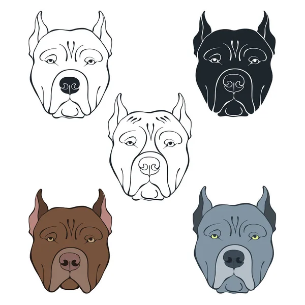 Jeu de visages Pit Bull Terrier — Image vectorielle