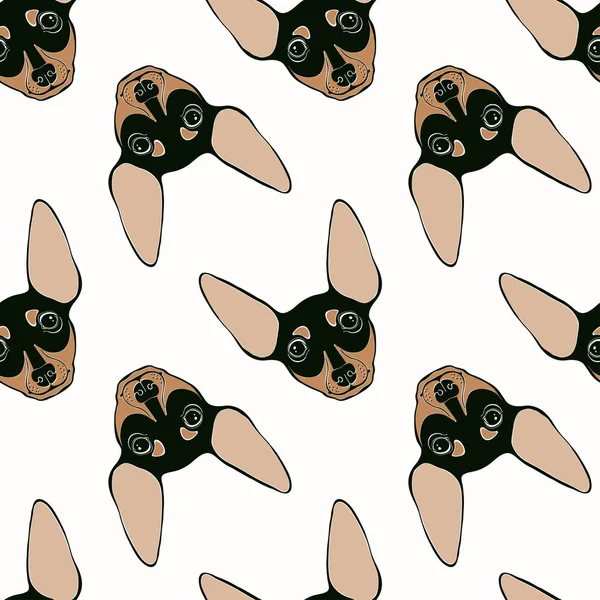 Pinczer miniaturowy twarze Seamless pattern — Wektor stockowy