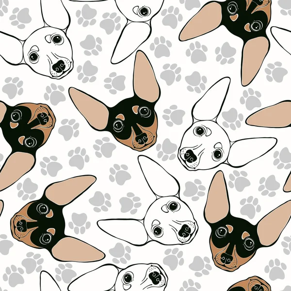 Miniature Pinscher faces Seamless pattern — Stock Vector