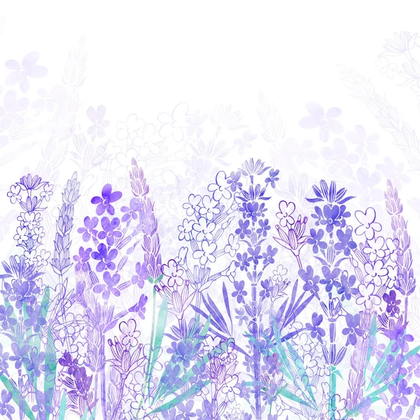 Цветочный фон с цветами лаванды — стоковое фото