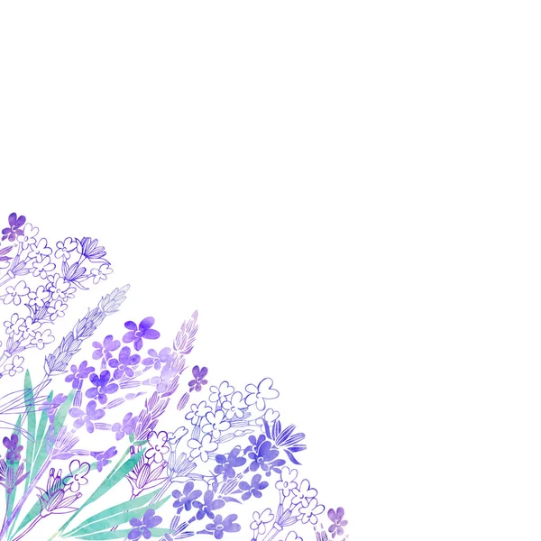 Florale achtergrond met lavendel — Stockfoto