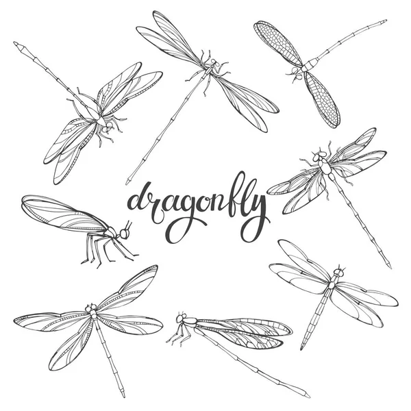 Illustration du contour des libellules — Image vectorielle