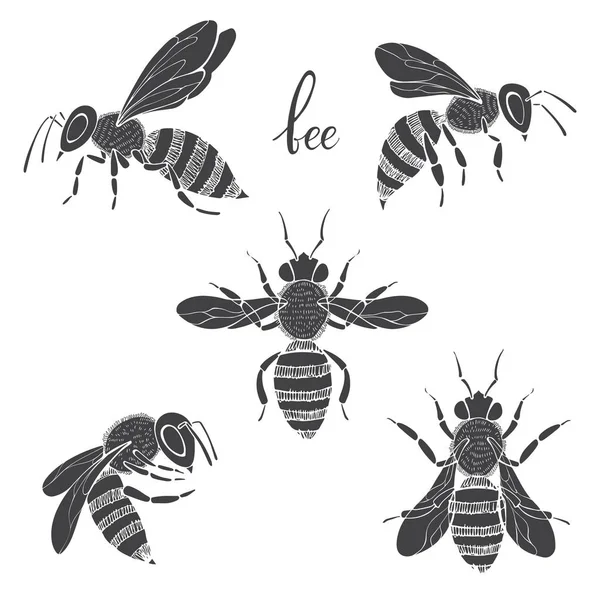 Elementi di api per il design — Vettoriale Stock