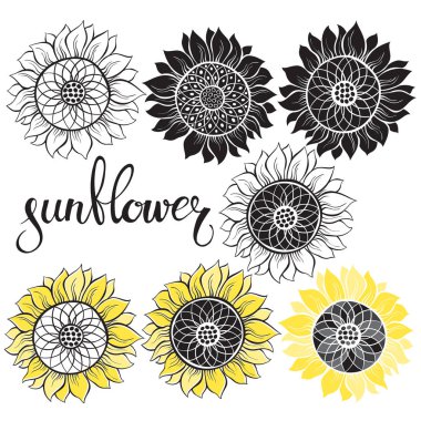  yedi farklı ayçiçeği elemens