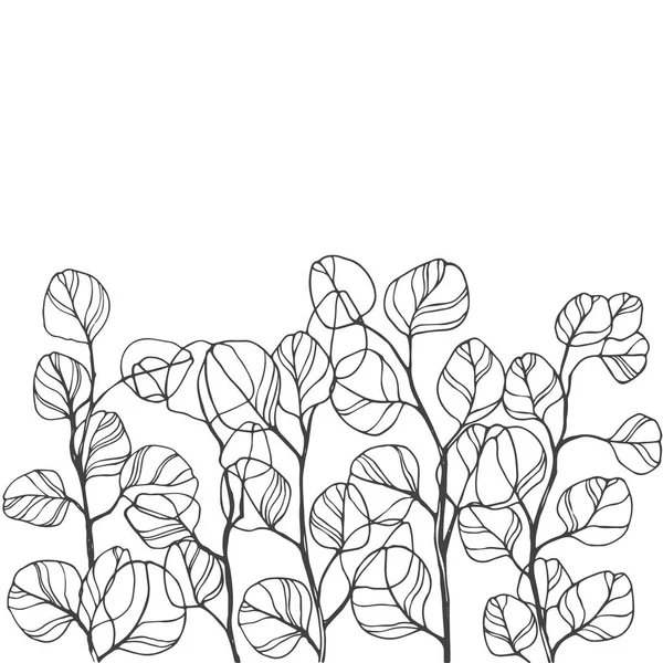 Hand-drawn branches of silver eucalyptus. — Stock Vector