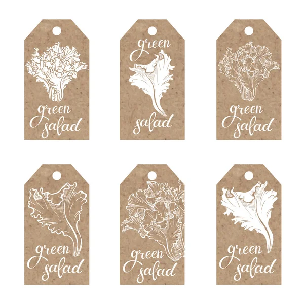 Kraft paper tags with green salad — Stock Vector