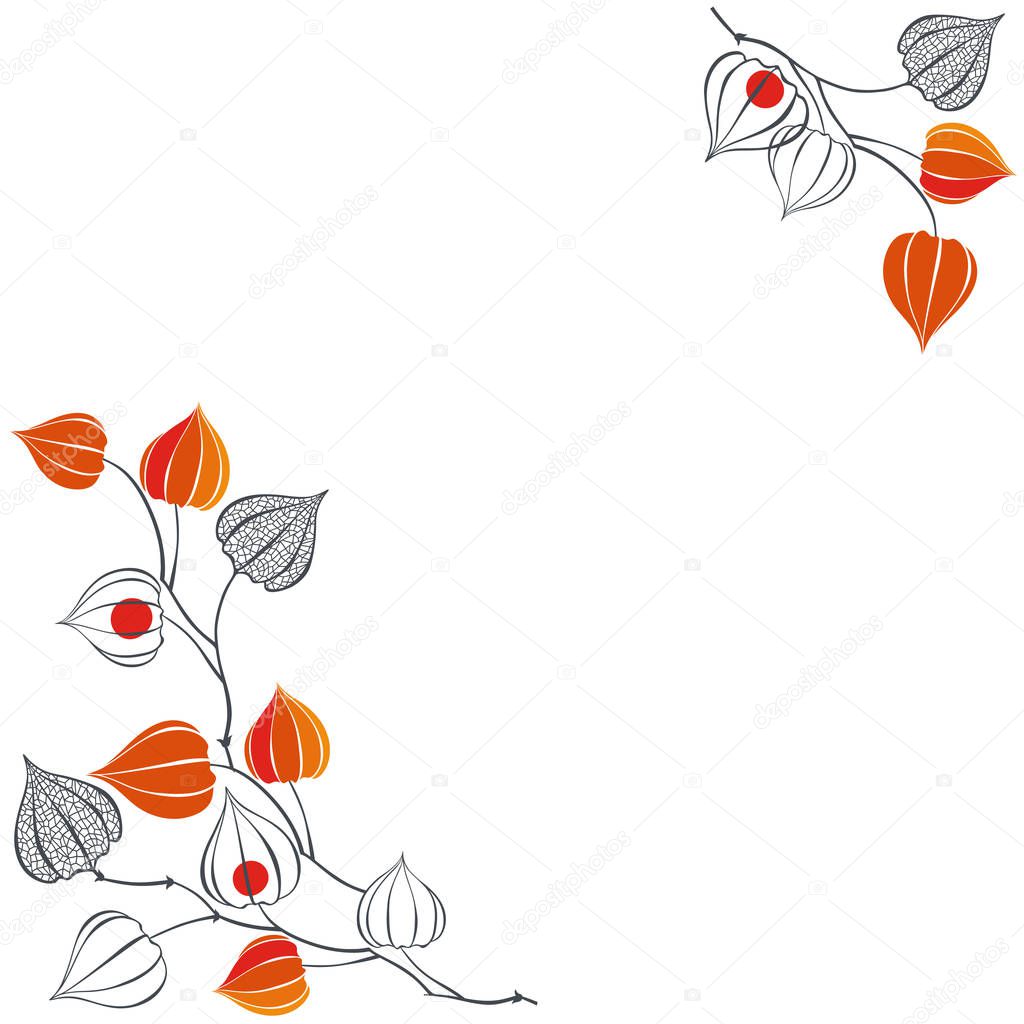 Floral background with physalis