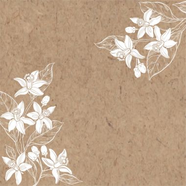Floral background with neroli clipart