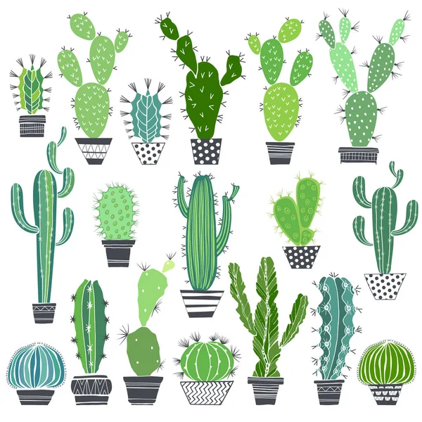 Florale achtergrond met cactussen — Stockvector