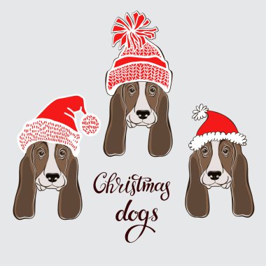 Noel Baba'nın şapkalı dogâ €™ s yüz.