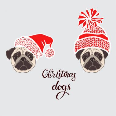 Noel Baba'nın şapkalı dogâ €™ s yüz. 