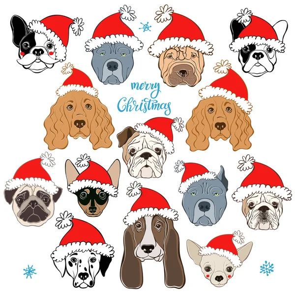 Noel Baba'nın şapkalı dogâ €™ s yüz kümesi.  