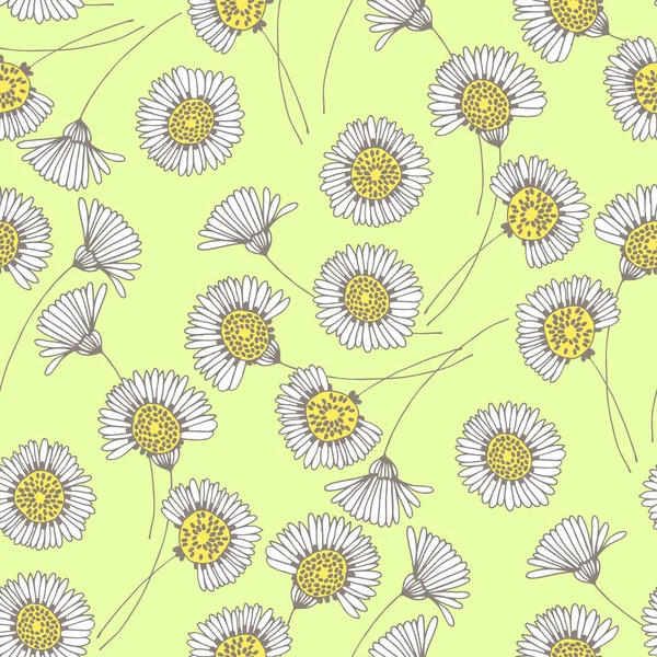 Modèle avec la floraison des fleurs de camomille — Image vectorielle