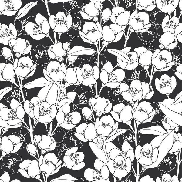 Ramas florecientes de jazmín — Archivo Imágenes Vectoriales