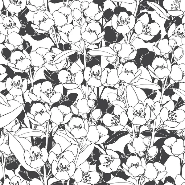 Blommande grenar av jasmin. — Stock vektor