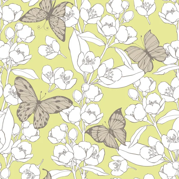 Ramas de jazmín y mariposas — Archivo Imágenes Vectoriales